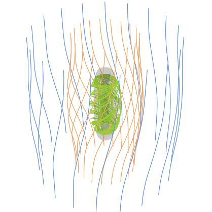 switchback thumbnail